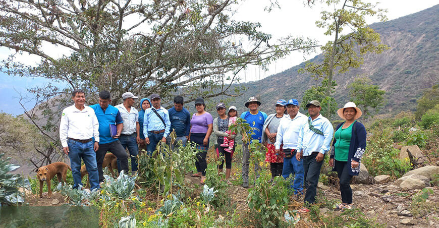 Promueven diversificación productiva en Cruz de Motupe DRA Piura
