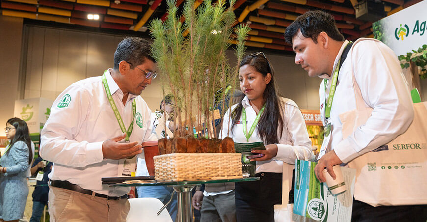 Serfor Perú Expo Forestal Mapa Nacional de Tierras con Potencial para Plantaciones Forestales Comerciales