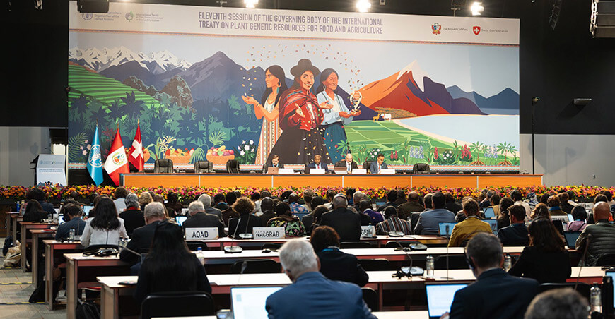 Undécima Reunión del Órgano Rector del Tratado Internacional sobre los Recursos Fitogenéticos para la Alimentación y la Agricultura