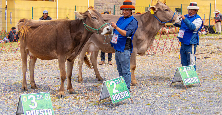 Feria Agropecuaria, Artesanal y Gastronómica Challhuahuacho Apurímac