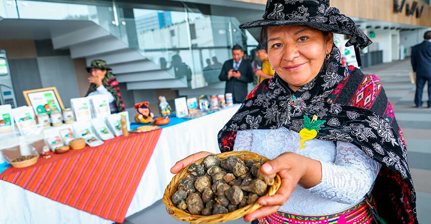 Festival Internacional de la Maca FIMACA Junín Perú