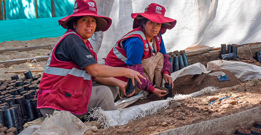 Cusco instalará más de 30 millones de plantones nativos 