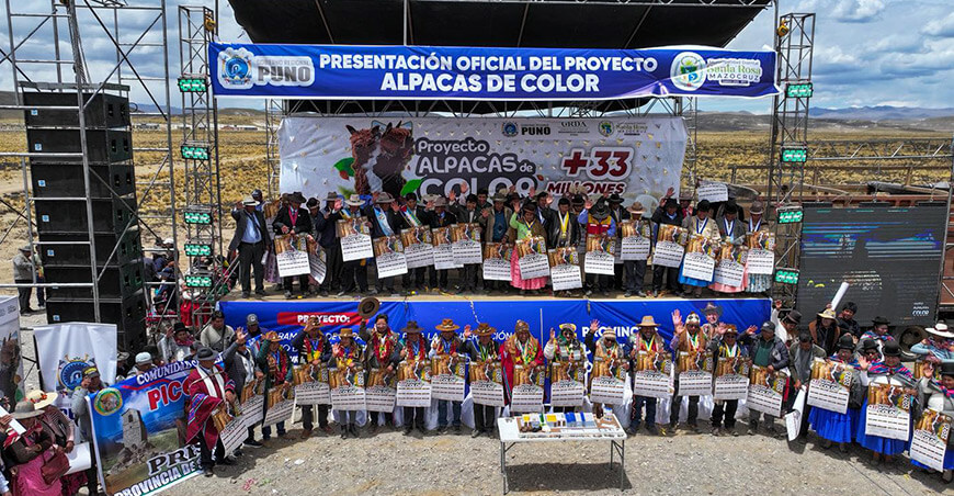 Puno inicia ejecución del proyecto Alpacas de Color