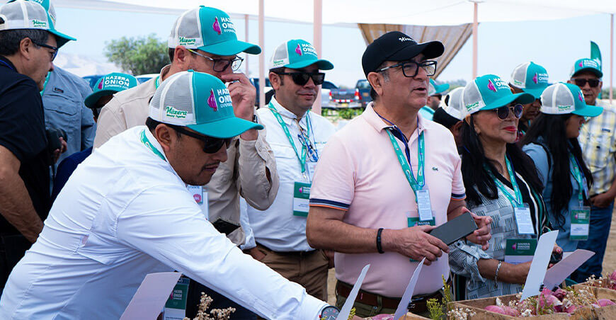 Cebollas peruanas conquistan el mundo en el Hazera Onion Experience
