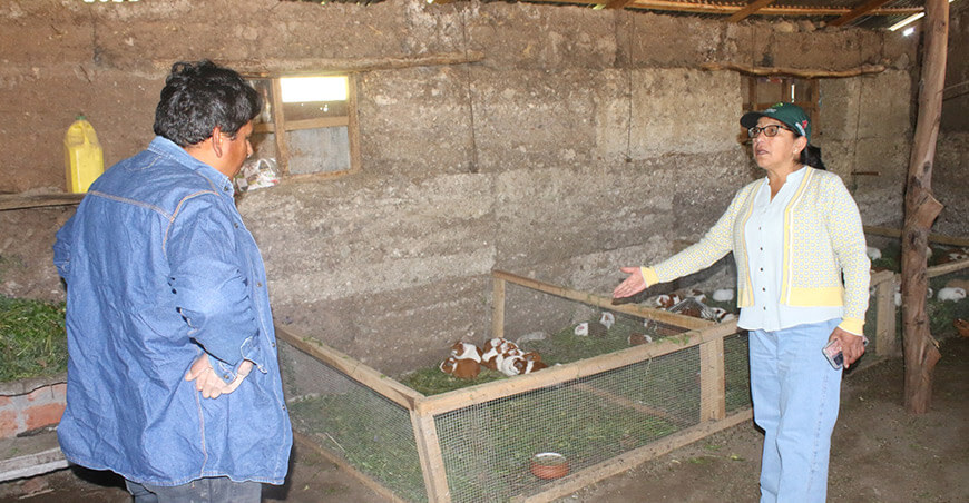 Impulsan proyecto de agricultura familiar en beneficio de 1798 familias de Churcampa Huancavelica