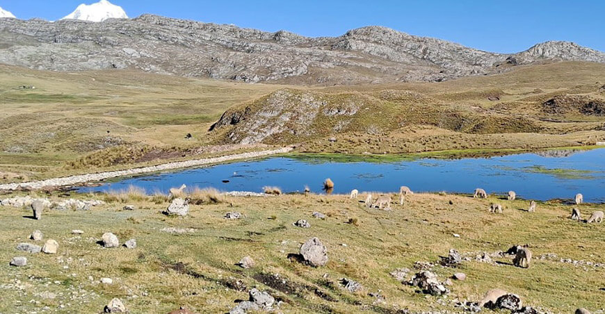 Sierra Azul qochas Huánuco Perú