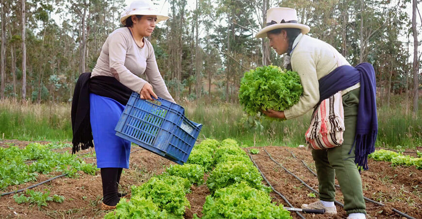 INIA capacitación productores Perú
