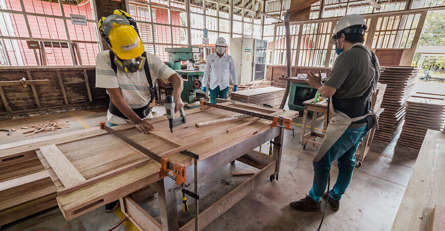 ITP impulsa la innovación y productividad de Mypes con capacitaciones gratuitas sector forestal maderable Perú