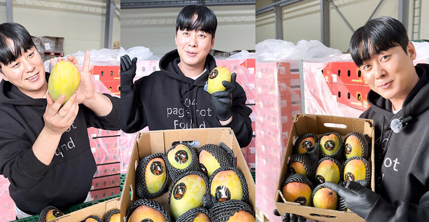 Mango Edward peruano ingresa por primera vez al mercado de Corea del Sur