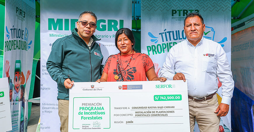 Programa de Incentivos Forestales incentivos Serfor Midagri