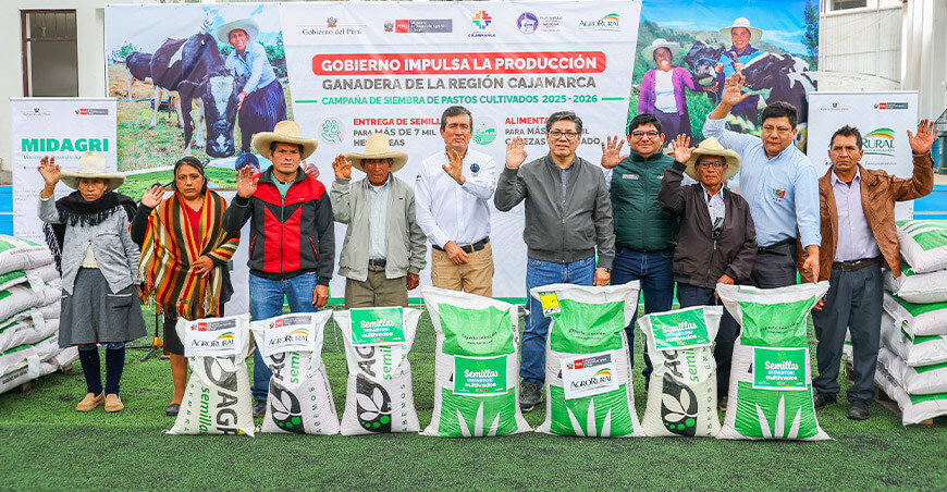Midagri entregó semillas de pastos mejorados para impulsar la ganadería en Cajamarca