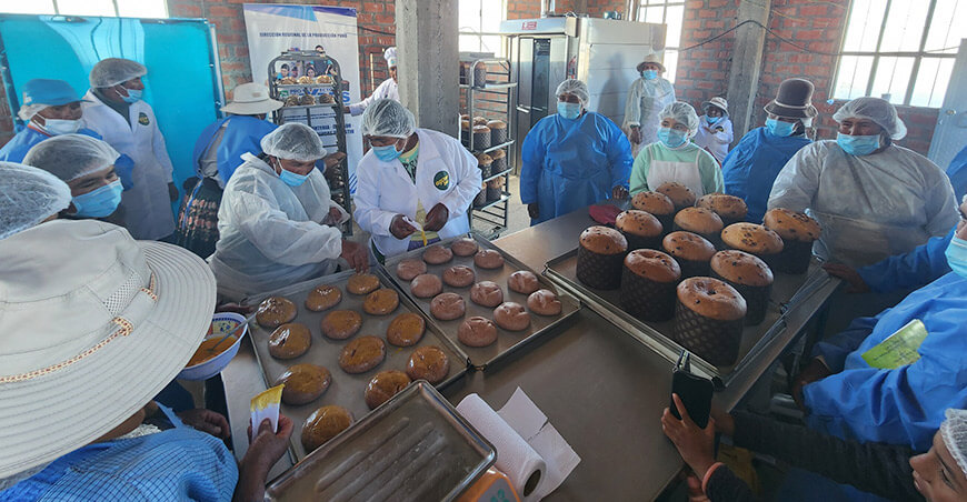 Los productores del centro poblado de Culta, en el distrito de Ácora, provincia y región Puno, fortalecen el valor agregado de los granos andinos tras capacitarse en la elaboración de panetones y bizcochos artesanales a base de quinua negra