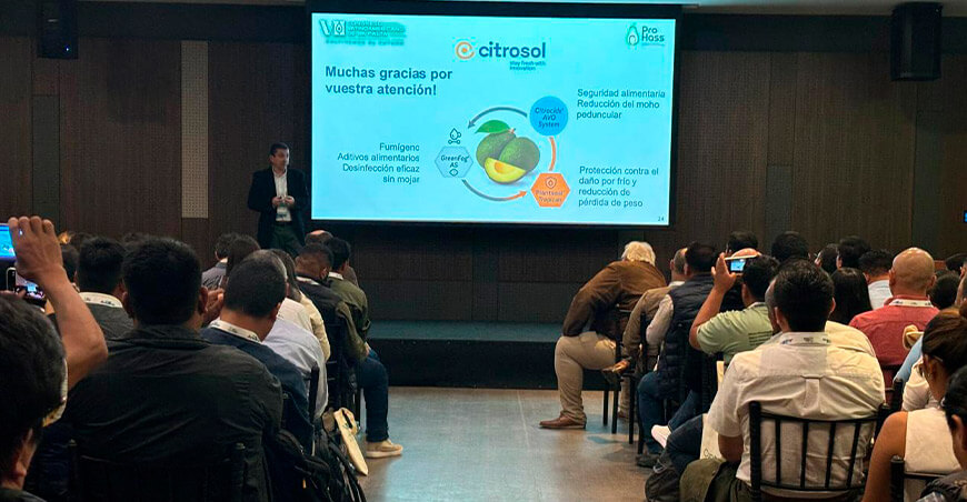Citrosol compartió avances en la conservación de palta en el VII Congreso Latinoamericano de la Palta