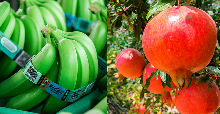 Suscribieron protocolos de requisitos fitosanitarios para exportar banano y granada hacia China