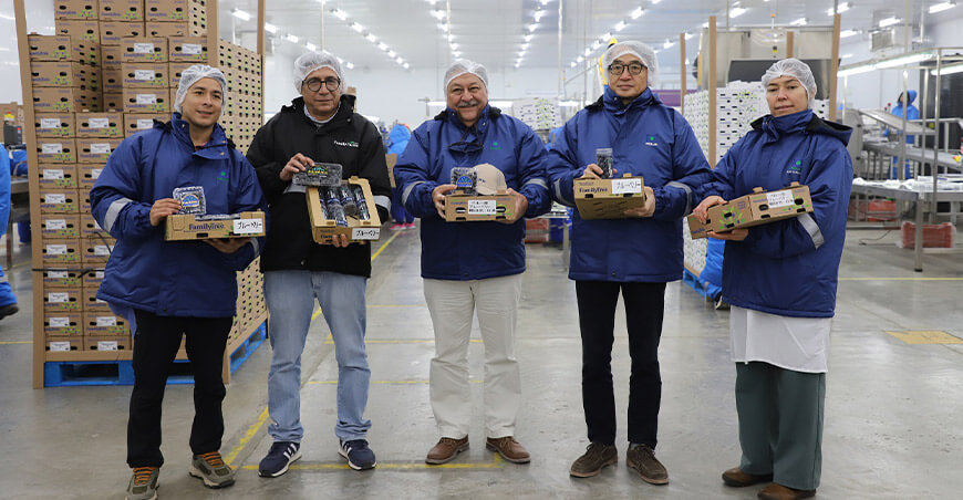  Impulsan envíos de arándanos peruanos a Japón 