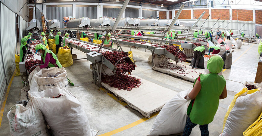 Empleos directos asociados a exportaciones páprika Perú