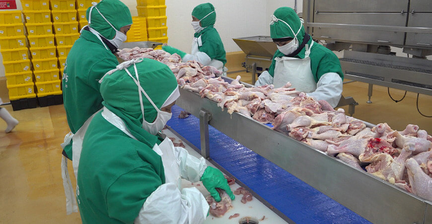 Senasa Perú habilitó tres nuevos establecimientos autorizados para exportar carne de aves a Bolivia