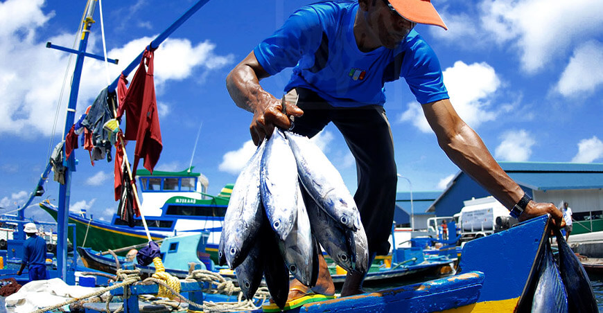 Sanipes fortalece en buenas prácticas a 170 pescadores artesanales de Piura e Ica