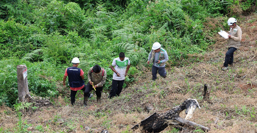 Comunidad nomatsigenga recupera su bosque en Mazaronquiari Pangoa Junín Perú Osinfor