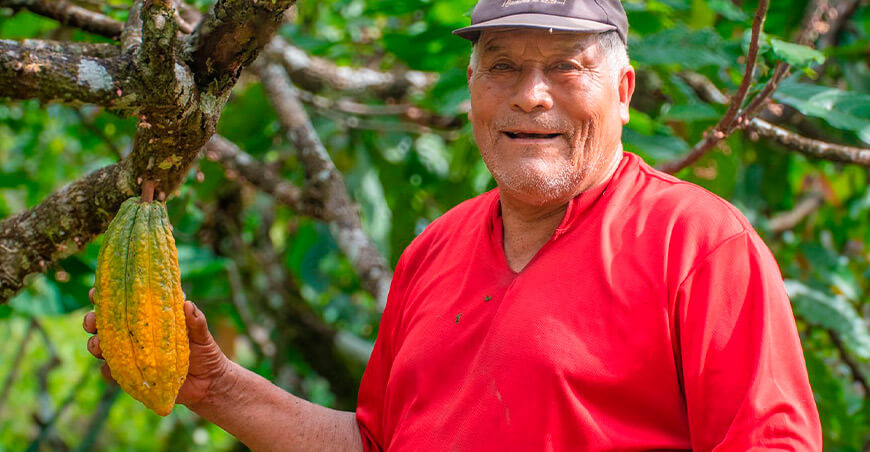 Cacao Vraem productores de cacao