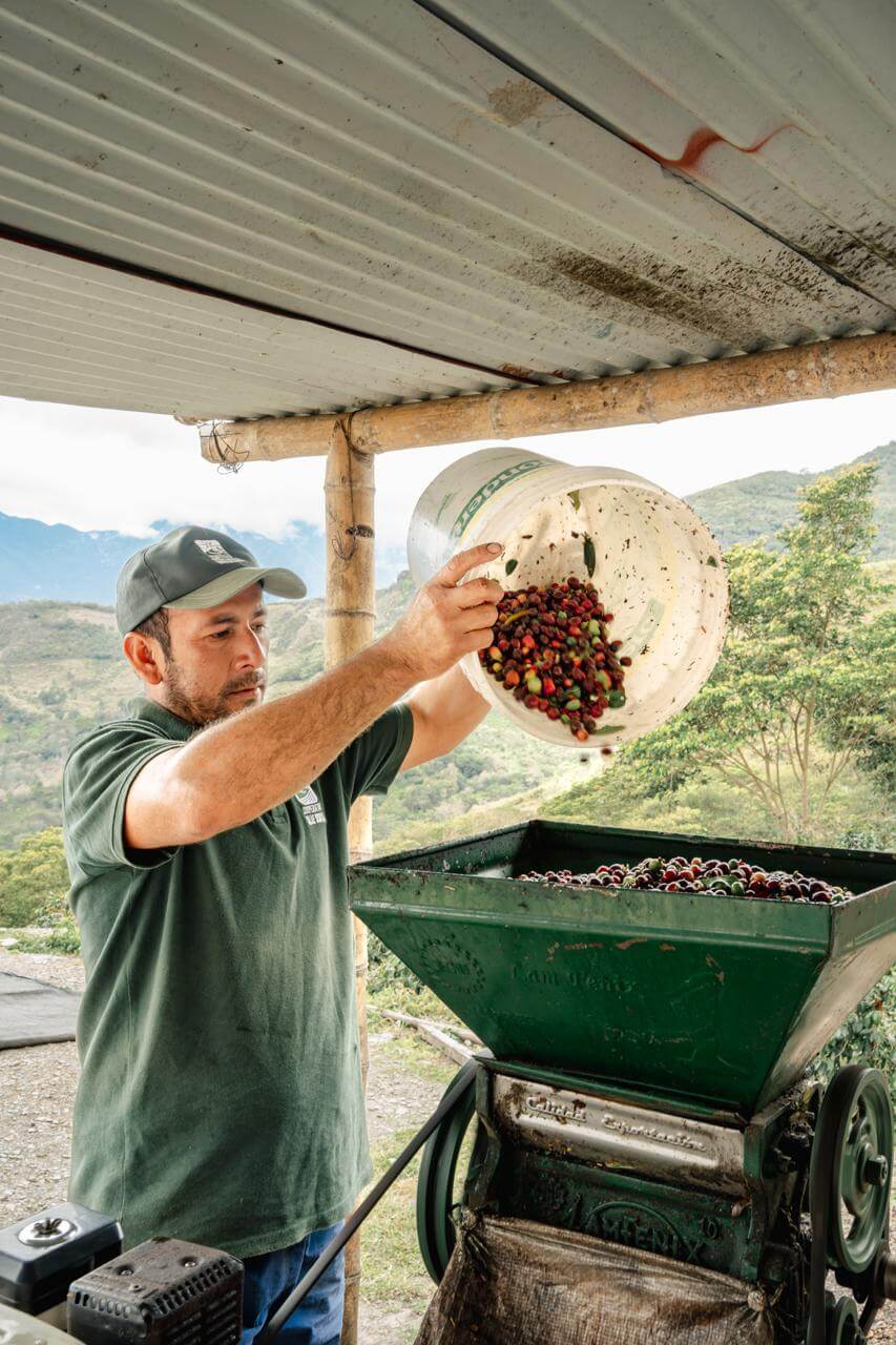productor de café Amazonas Perú 
