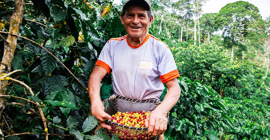 productor de café Perú