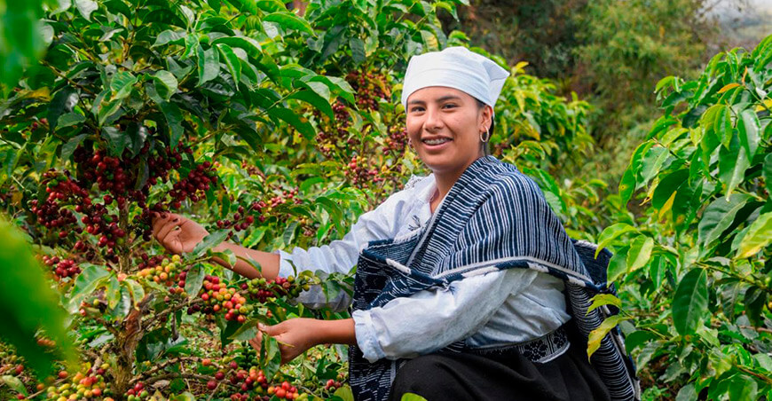 productora de Amazonas Perú
