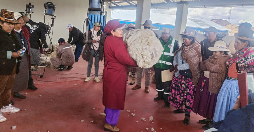 Alpaqueros y artesanos fortalecen sus capacidades para incrementar el valor de su fibra Lampa Puno ITP Perú