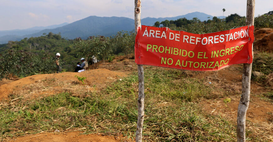 Comunidad nomatsigenga recupera su bosque en Mazaronquiari Pangoa Junín Perú Osinfor