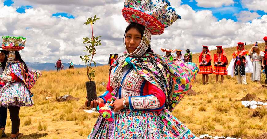 Cusco instalará más de 30 millones de plantones nativos