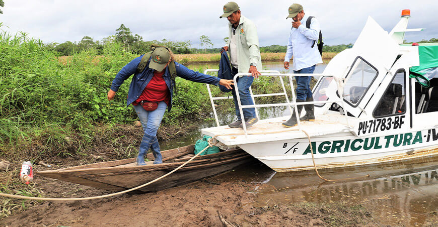 Activan el Seguro Agrícola Catastrófico ante crecida del río Ucayali que afectó cultivos