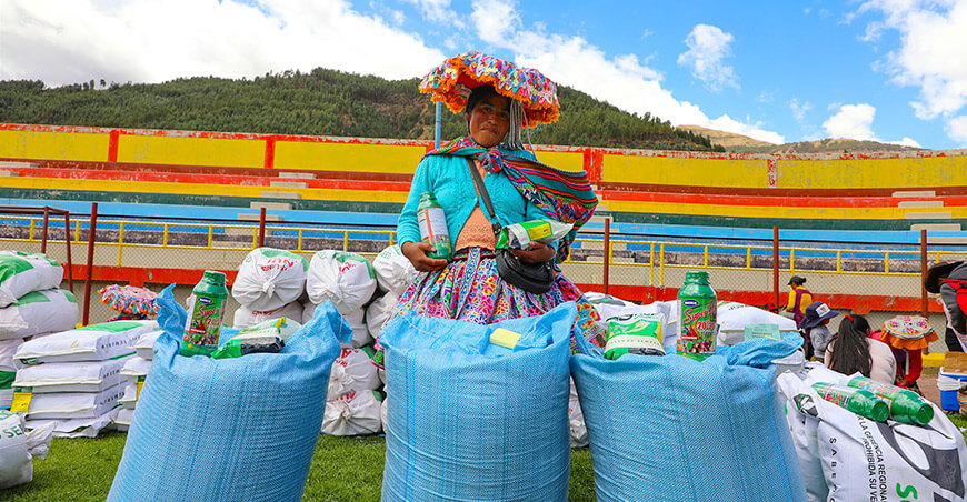 Instalarán avena forrajera en 450 hectáreas en la provincia de Quispicanchi Cusco Perú