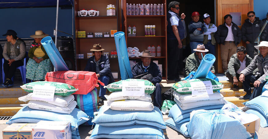 Entregaron productos agropecuarios para mejorar la alimentación y sanidad del ganado vacuno Puno Perú