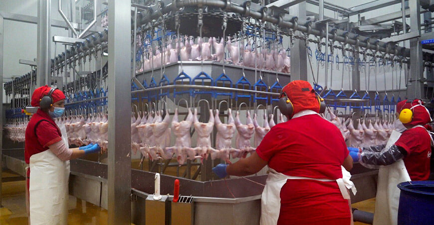 Senasa Perú habilitó tres nuevos establecimientos autorizados para exportar carne de aves a Bolivia