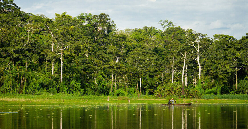 custodia y defensa de sus bosques Loreto Serfor Perú