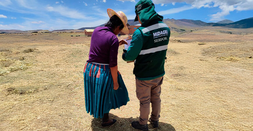 Serfor condenó la muerte de crías de zorro andino en Puno y dispone acciones administrativas y legales