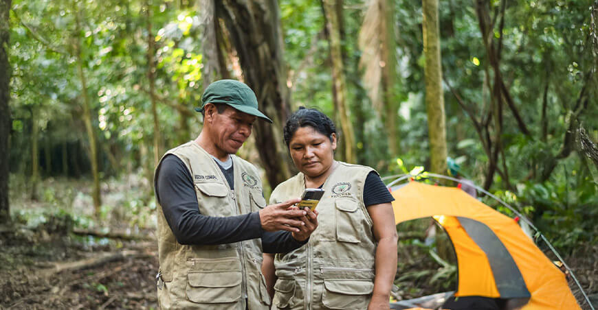 Minam monitorea 67 millones de hectáreas de bosques húmedos amazónicos con tecnología satelital