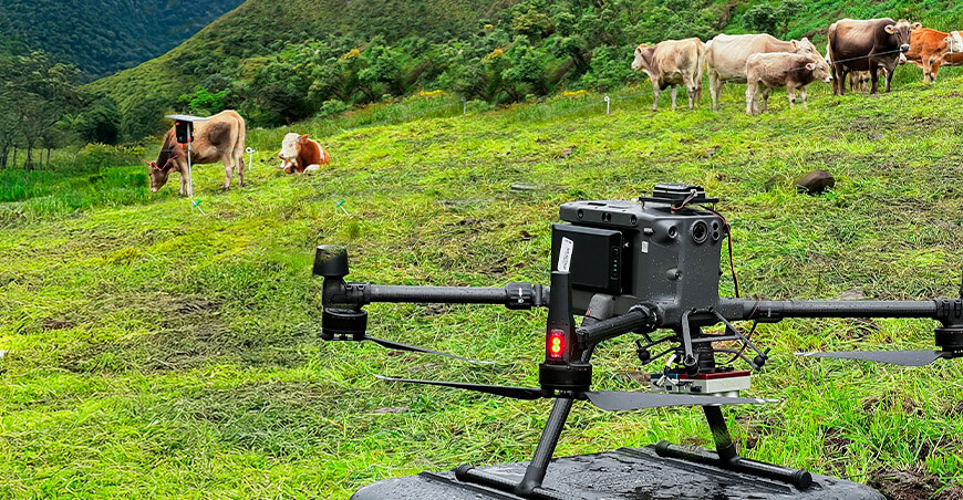 Monitorean biomasa en pastos con tecnología LiDAR y cámaras multiespectrales Amazonas UNTRM