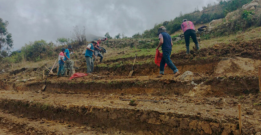 vivero forestal Cajamarca