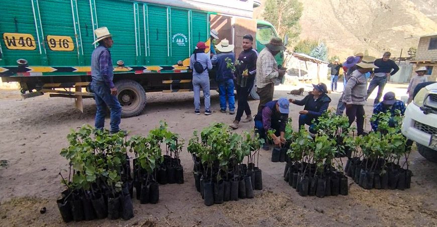 Entregaron plantones de vid de patrones americanos a productores de La Unión Arequipa