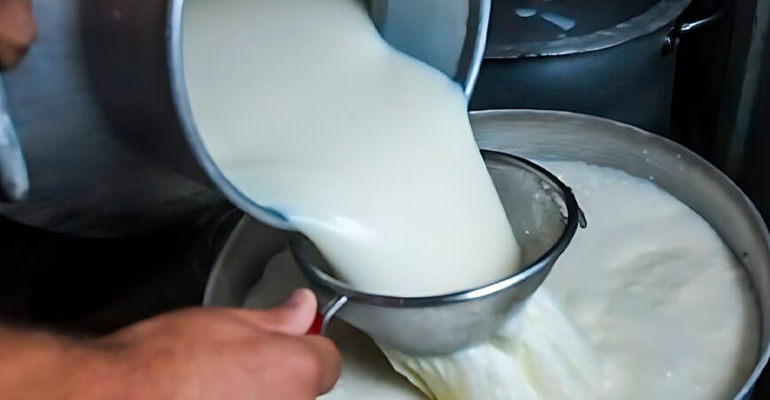 ganadería en los Andel del Perú producción leche