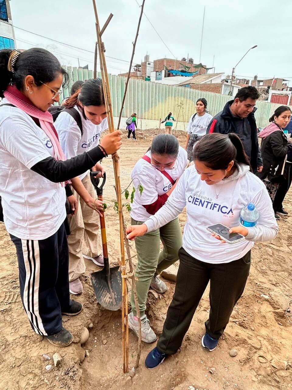 Plantarán más de 200 árboles en campaña de arborización en los Pantanos de Villa