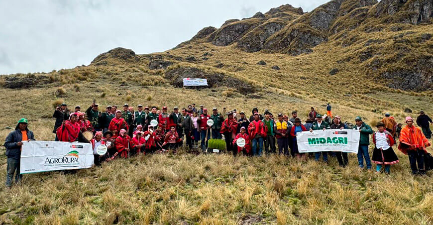 Midagri inicia plantaciones forestales en el marco de la campaña Cusco Perú