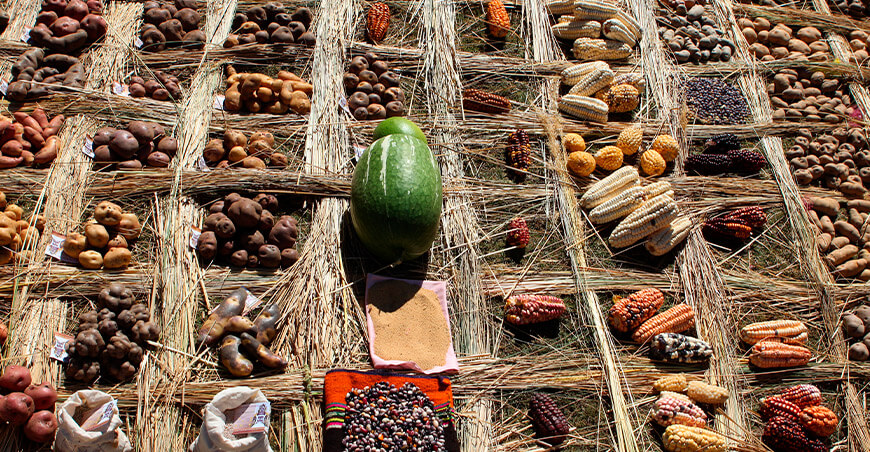 Agrobiodiversidad Perú