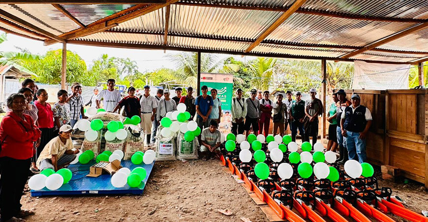 Fortalecen producción de cacao de asociación de Constitución Pasco Perú