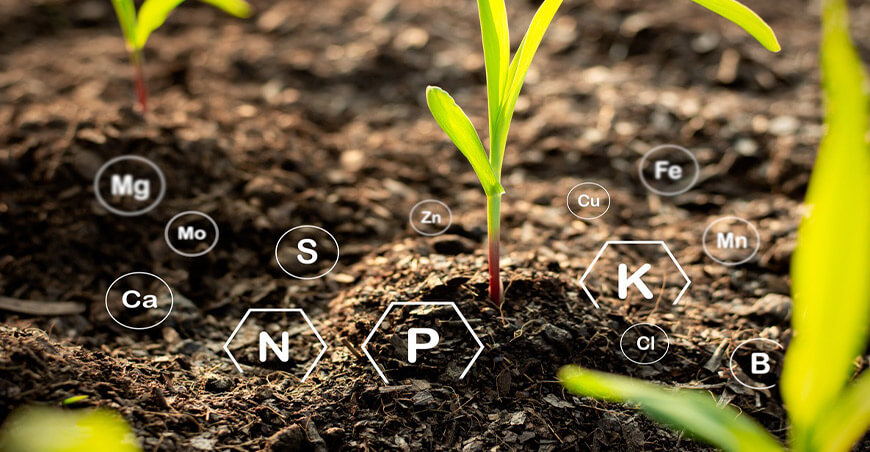 Empresas apuestan por formación avanzada en bioestimulantes y biocontrol