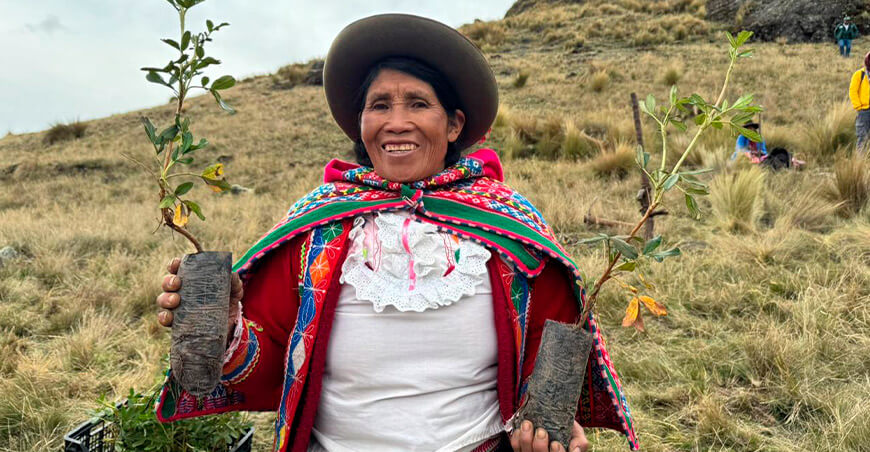 Midagri inicia plantaciones forestales en el marco de la campaña Cusco Perú