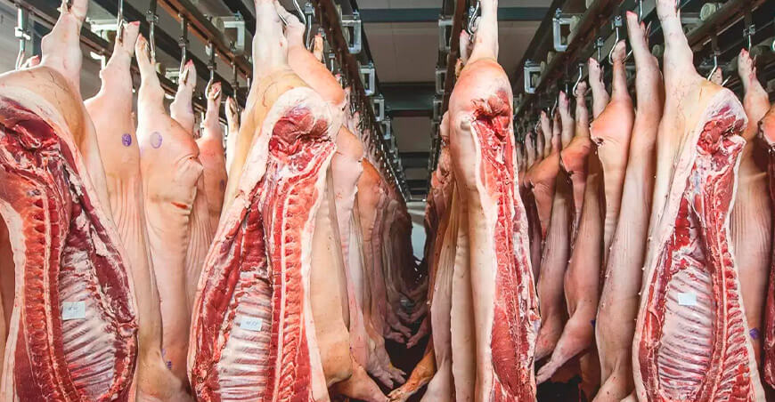 carne de cerdo