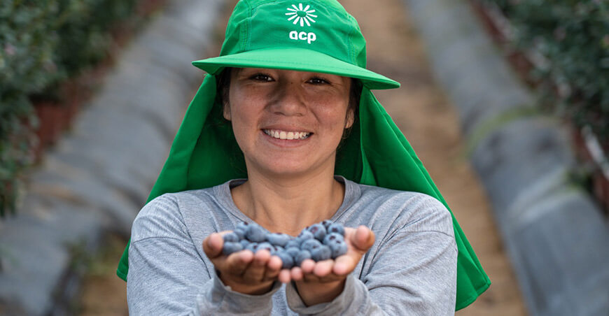 empresa agroexportadora Cerro Prieto arándanos peruanos