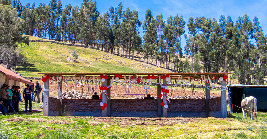 Entregaron cobertizos para proteger bovinos en Putacca Ayacucho Perú
